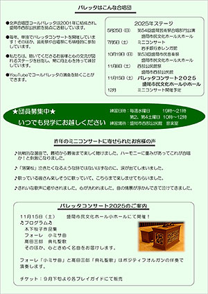 チラシ裏